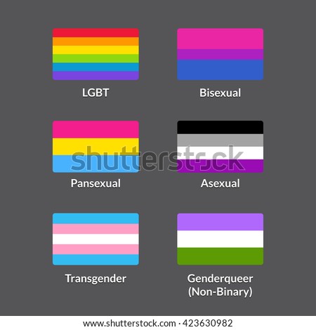 Set Of Lgbtqa Pride Flags. Traditional Rainbow Flag, Bisexual ...