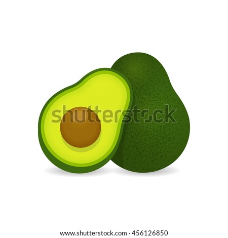 Realistic vector avocados illustration. Whole and cut avocado isolated on white background.