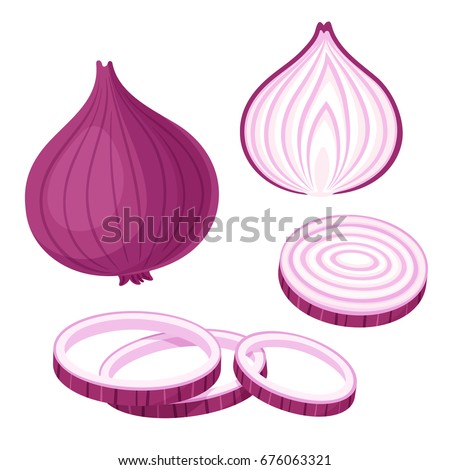 Red onion set. Cut in half, slice and onion rings. Isolated vector illustration.