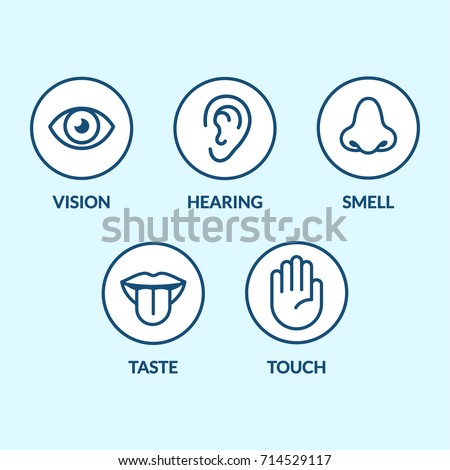 Icon set of the five human senses: vision (eye), smell (nose), hearing (ear), touch (hand), taste (mouth with tongue). Simple, minimal line icons vector illustration.