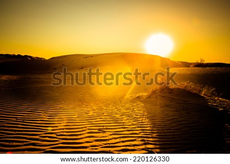 desert in sunset, tengger desert, china.