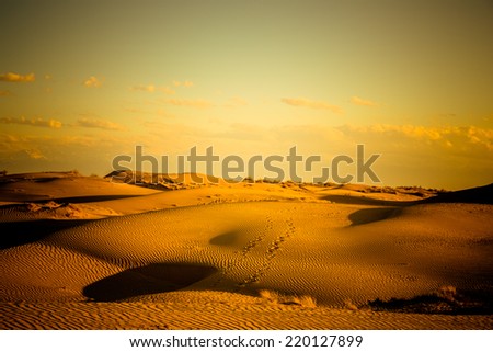 desert in sunset, tengger desert, china.
