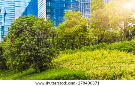 green garden in the Office area at shanghai china.