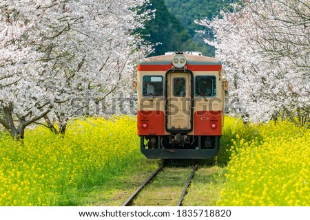 Similar – Image, Stock Photo Passenger train and rapeseed field. Spring landscape at sunrise