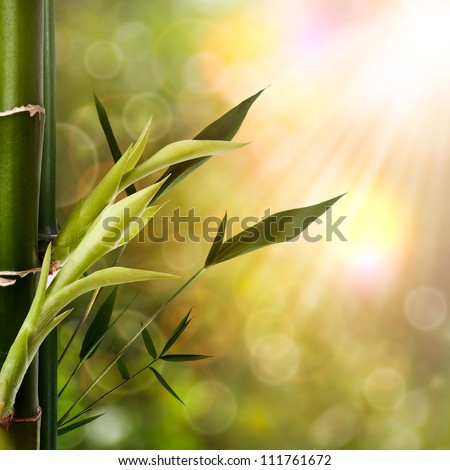 Abstract oriental backgrounds with bamboo foliage