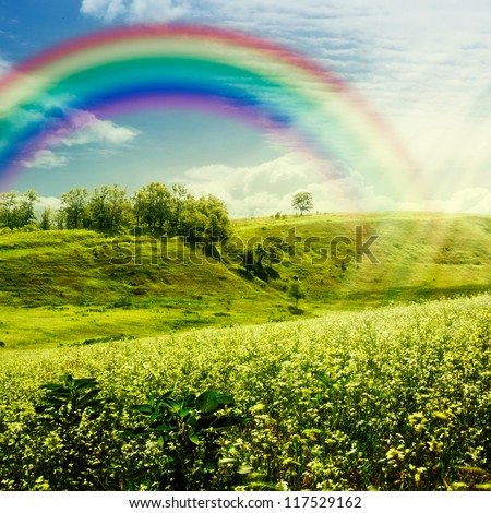 Rainbow on the meadow. Abstract natural backgrounds for your design