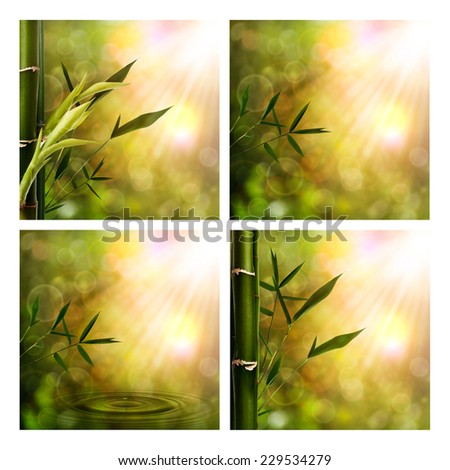 Set of assorted oriental seasonal backgrounds for your design