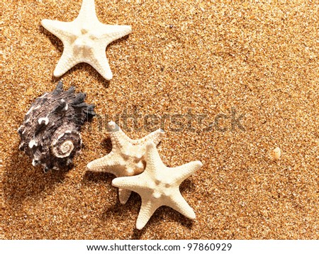 Abstract marine backgrounds over sea sand