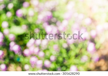 Abstract picture of flower meadow with green and violet flowers. Defocused picture. Blured background.