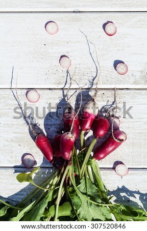 Artistic vacro photo of a bunch of farm grown radish. Organic natural food.
