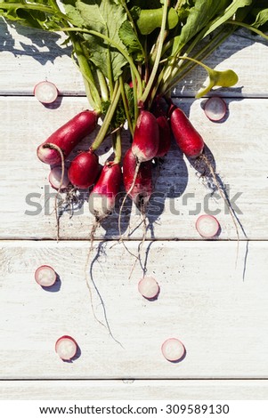 Artistic vacro photo of a bunch of farm grown radish. Organic natural food.