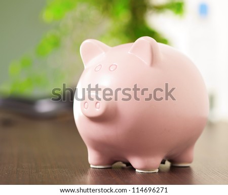 Pink Piggy Bank, Indoor