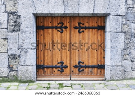 Image, Stock Photo Blocking period door
