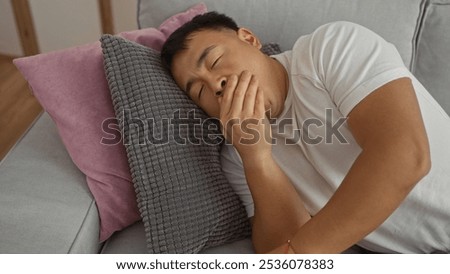 Image, Stock Photo yawn Living or residing