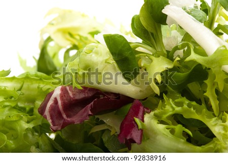 fresh lettuce closeup on a white background