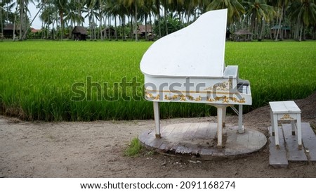 A wooden piano replica in front of a paddy field. A scenery at Kampong Agong, Penang - Malaysia. A selective focus photo of the piano replica.  Photo stock © 