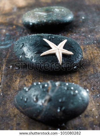 Smooth black massage stones covered in water droplets with a starfish conceptual of marine based therapy at a spa