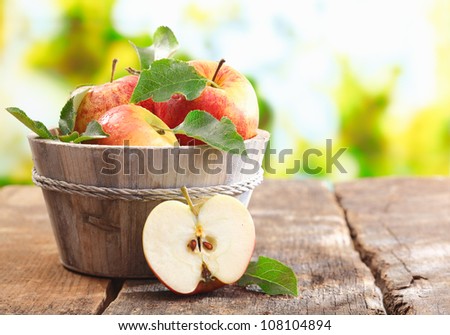 Similar – Image, Stock Photo urban gardening apple fruit