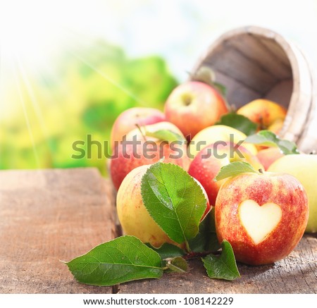 Similar – Image, Stock Photo urban gardening apple fruit