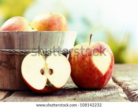 Similar – Image, Stock Photo urban gardening apple fruit