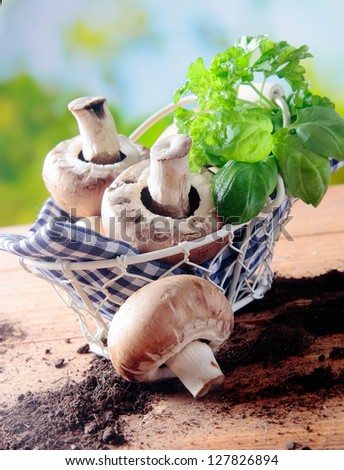 Freshly picked mushrooms and basil in a rustic wire basket lined with a blue and white checked napkin on a wooden table in the sunshine