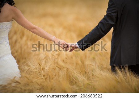 Wedding couple on their wedding day - holding hands while posing in a barley field