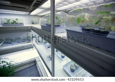 science concept - botany research center freezer with young plants being kept at a very low temperature
