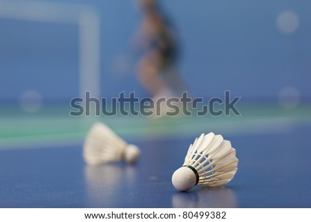 badminton - badminton courts with two shuttlecocks (shallow DOF; color toned image)