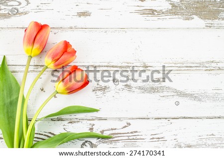 Empty wooden background with colorful flowers