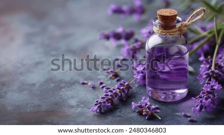 Similar – Foto Bild Violette Blume einer Distel in einem städtischen Garten