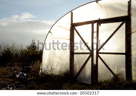 sun sets behind a domestic poly-tunnel with hedge in background