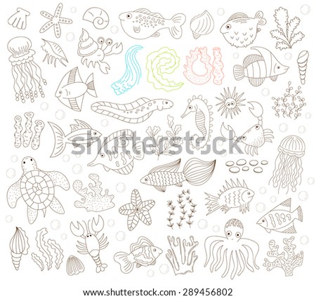vector set of hand drawn doodle underwater plants and animals isolated on white background