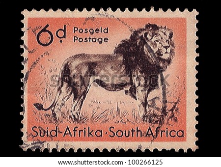 SOUTH AFRICA - CIRCA 1954: A stamp Printed in South Africa shows Lion, bilingually inscribed, circa 1954
