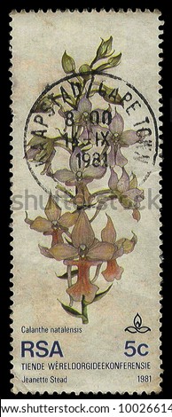 SOUTH AFRICA - CIRCA 1981: A stamp Printed in South Africa of an orchid to commemorate the 10th World Orchid Conference, circa 1981