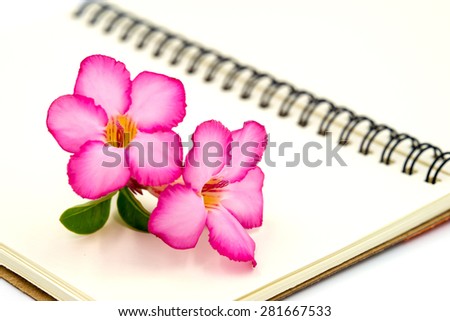 Pink flower on brown book.