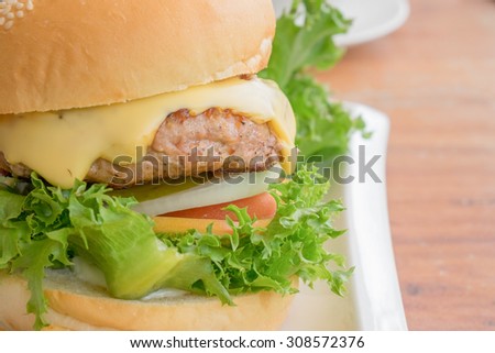 Pork burger with cheese - American cheese burger