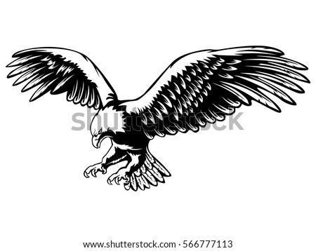 Eagle emblem isolated on white vector illustration. American symbol of freedom
