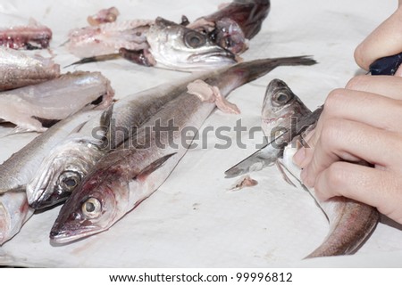 a cook preparing fish for cooking