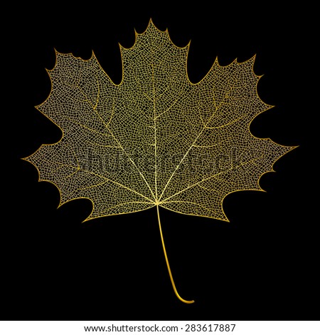 Gold maple leaf isolated on black background. Luxury jewelry design. Raster copy of vector file.