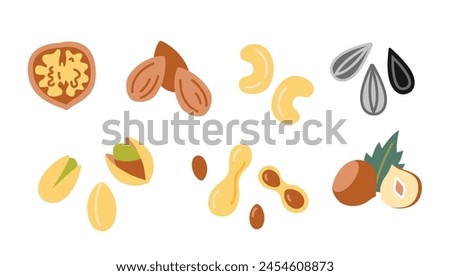 Nuts and seeds set, cartoon style. Peanut, walnut, sunflower seeds, pistachio, cashew, chazelnut and almond. Trendy modern vector illustration isolated on white background, hand drawn, flat design