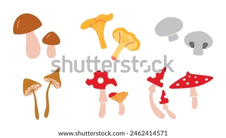 Set with edible and poisonous mushrooms, chanterelles, champignons, porcini mushroom, fly agarics and toadstools, cartoon style. Vector illustration isolated on white, hand drawn, flat design