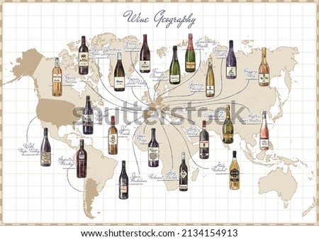 vector illustration of a world map and wine bottles in a watercolor drawings style