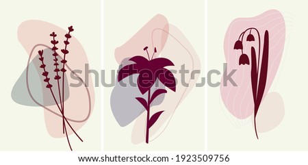 Interior abstract minimalism set of posters with plants. Vector  lavender, lily, lily of the valley. Vinous and pink colour botanical posters Photo stock © 