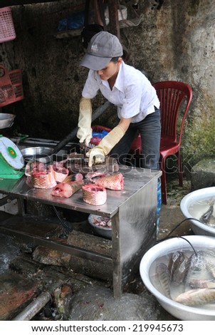 SAPA, VIETNAM - AUGUST 10: Vietnamese woman working as a fish butcher in a an open  market slicing  and selling fish on August 10 2010 in Sapa city, Vietnam, ASIA