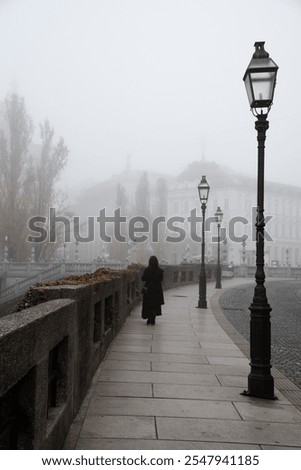 Similar – Image, Stock Photo foggy bridge with lamp arches