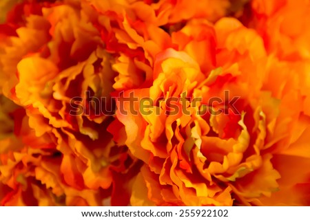 orange flowers made of fabric