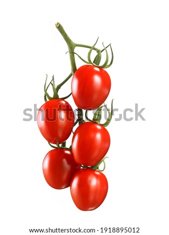 Similar – Image, Stock Photo Fresh panicles of tomatoes on a colourful plate