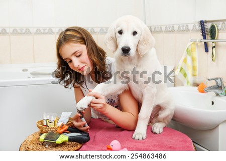 Girl owner is making manicure of retriever puppy after shower