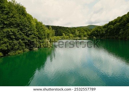 Similar – Image, Stock Photo Forest, fir forest, beech forest