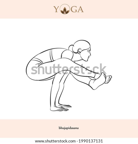 yoga asana poses with names vector illustration